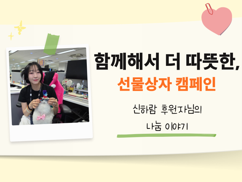 국내 나눔후기